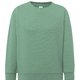 Moss Green MO