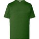 Bottle Green (BG)