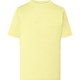 Light Yellow (LY)